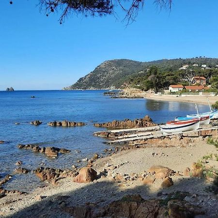 Les Bois Flottes . Plage De La Verne La Seyne-sur-Mer Bagian luar foto