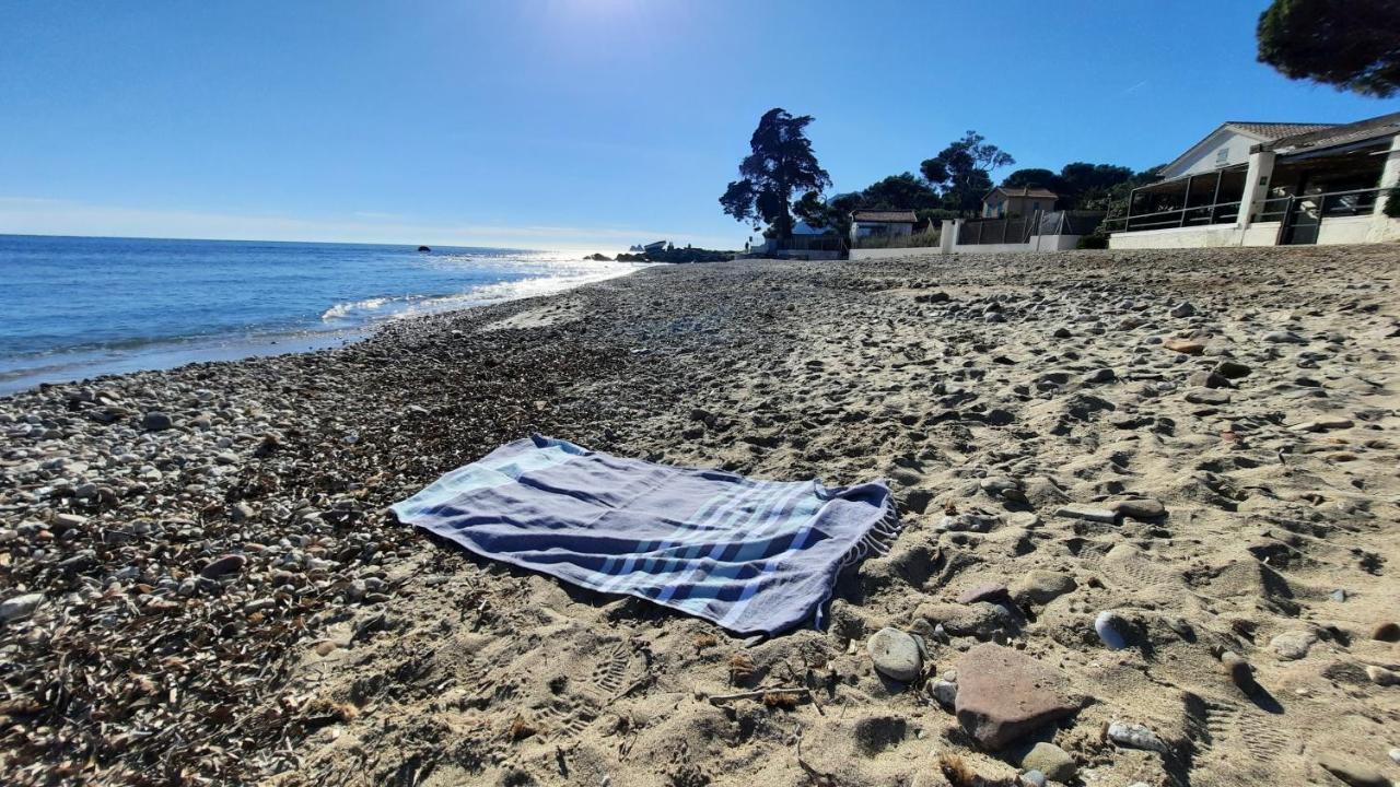 Les Bois Flottes . Plage De La Verne La Seyne-sur-Mer Bagian luar foto