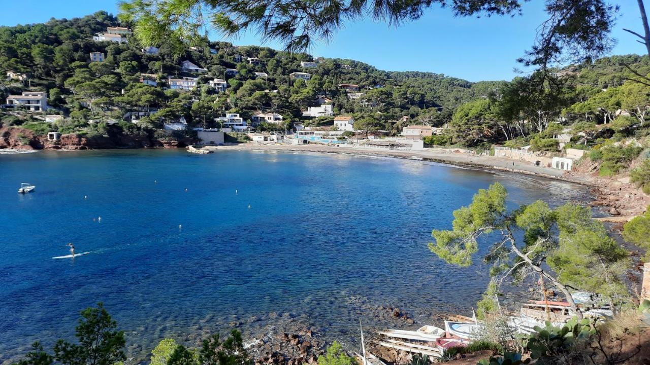 Les Bois Flottes . Plage De La Verne La Seyne-sur-Mer Bagian luar foto