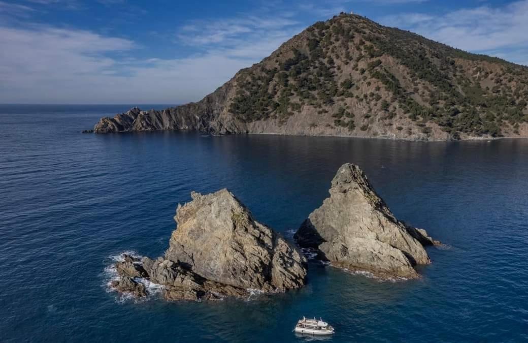 Les Bois Flottes . Plage De La Verne La Seyne-sur-Mer Bagian luar foto