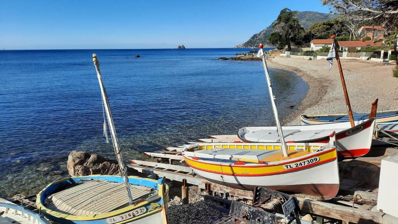 Les Bois Flottes . Plage De La Verne La Seyne-sur-Mer Bagian luar foto
